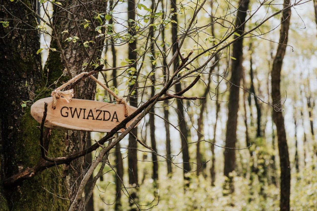Dziki Las - Domki Na Drzewach Miłomłyn Kültér fotó